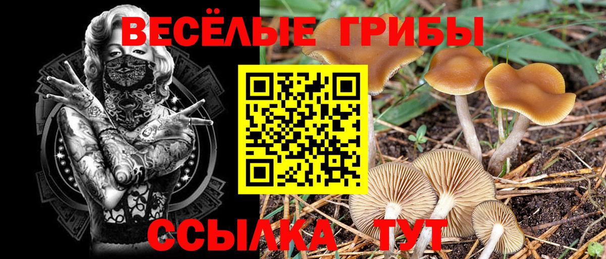 что такое наркотик  Вход с VPN  Ртищево  Галлюциногенные грибы мицелий 