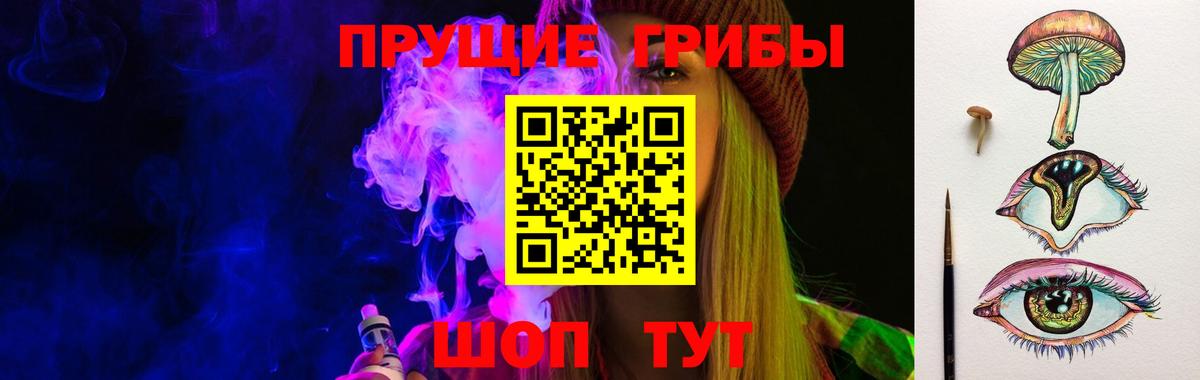 Псилоцибиновые грибы Psilocybe Ртищево