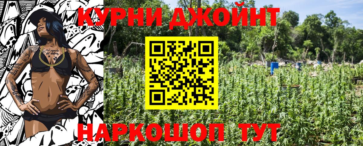 Бошки Шишки план Ртищево